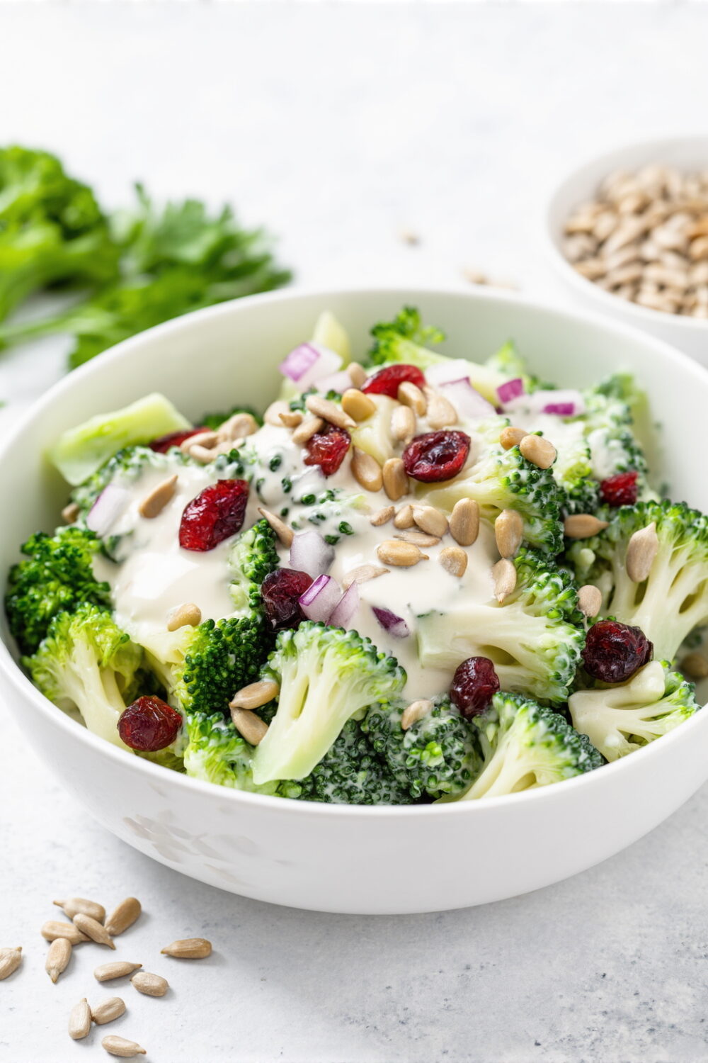 Creamy Broccoli Salad with Cranberries and Sunflower Crunch